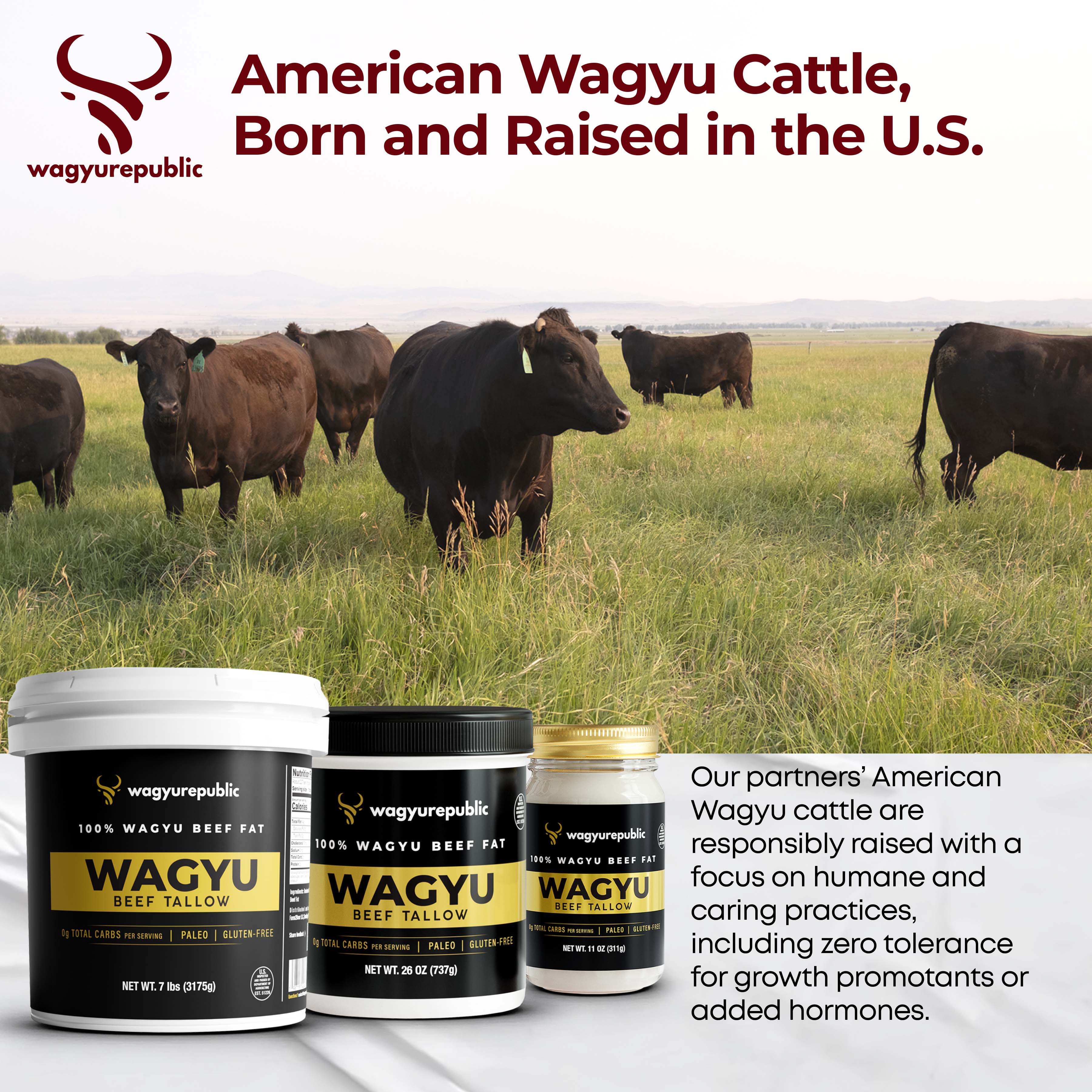 Wagyu Republic – wholesale Cooking oil – Wagyu Republic Wagyu Beef Tallow, 11oz Glass Jar5