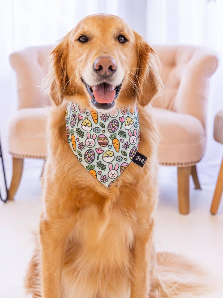 Cute Easter Dog Bandana - Easter Dog Bandana for wholesale by Tails Up, Pup