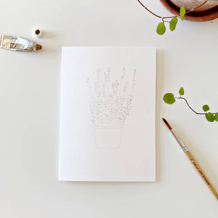emily lex studio - Wholesale Stationery/Notecard Set - potted plants paintable notecards