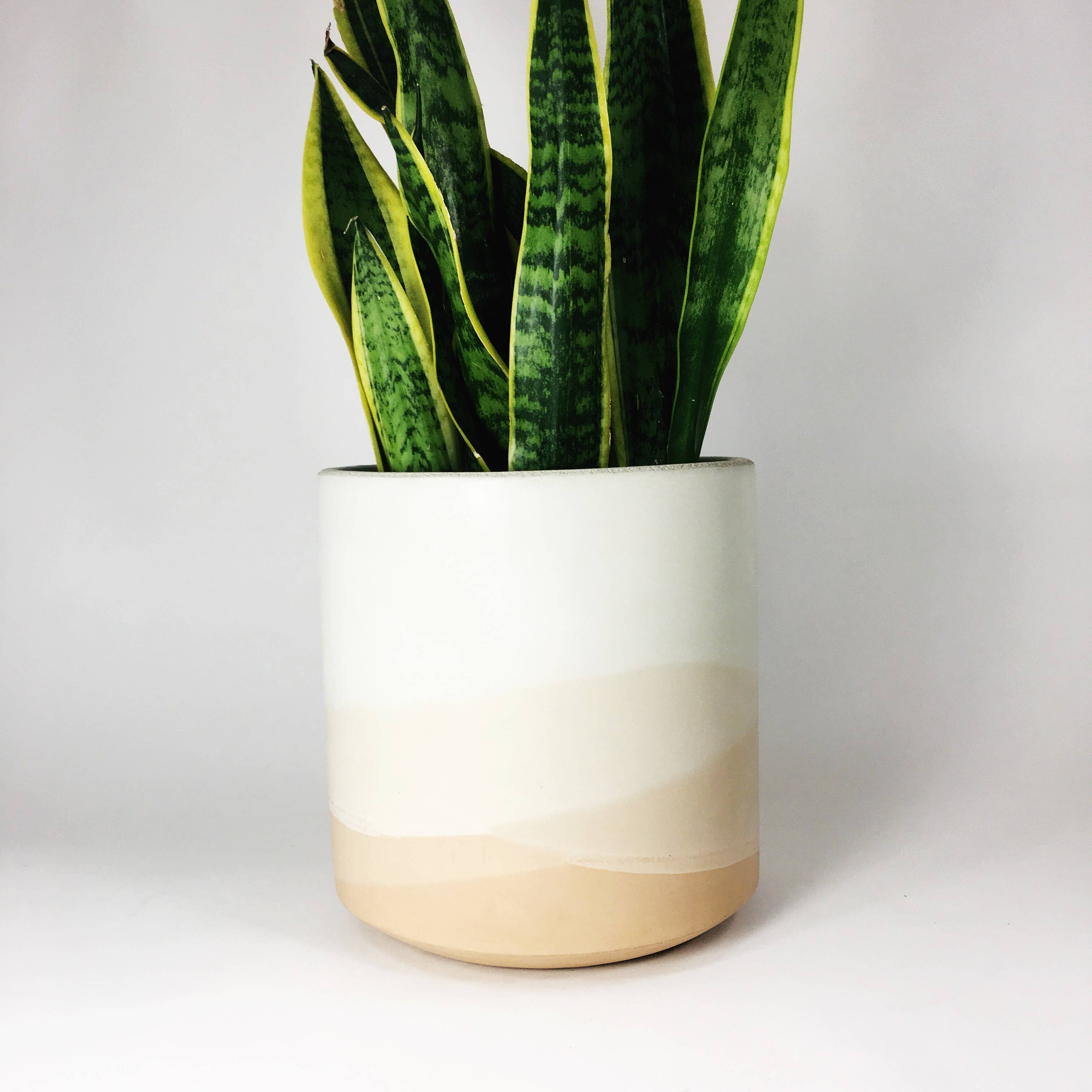 Settlewell - Wholesale Plant Pot - 9" Straight Sided Concrete Pot / 14 Colors11