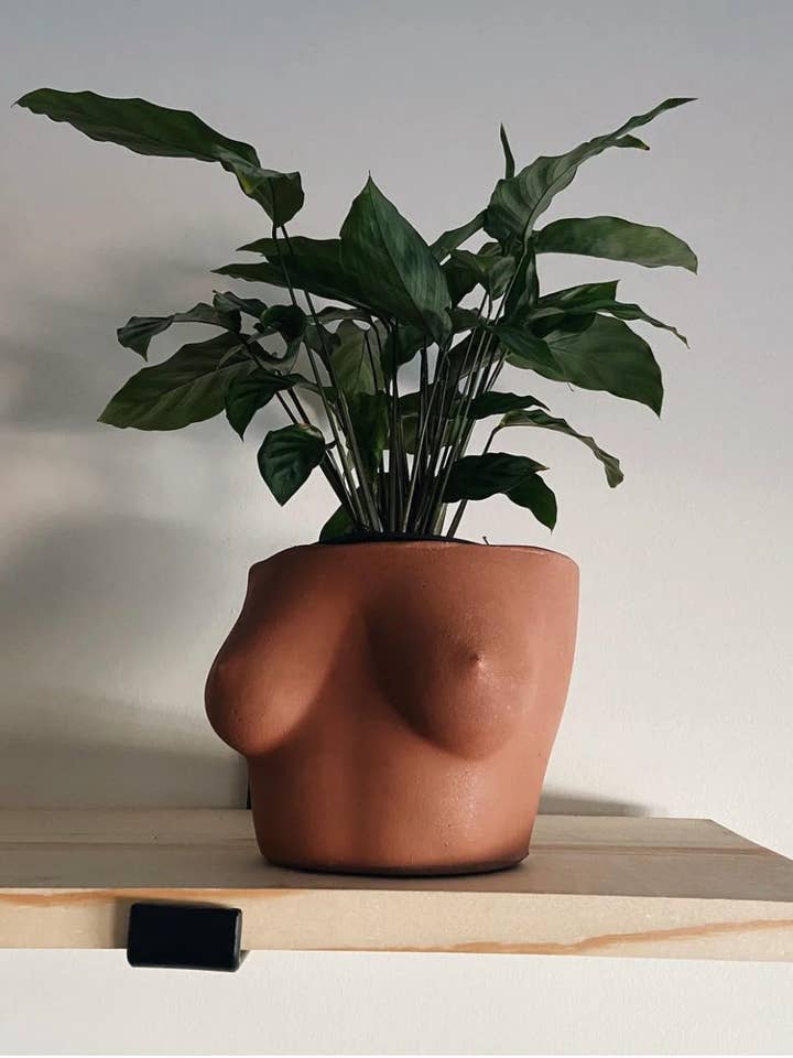 LARGE MILADY PLANTER for wholesale by Queen City Crete