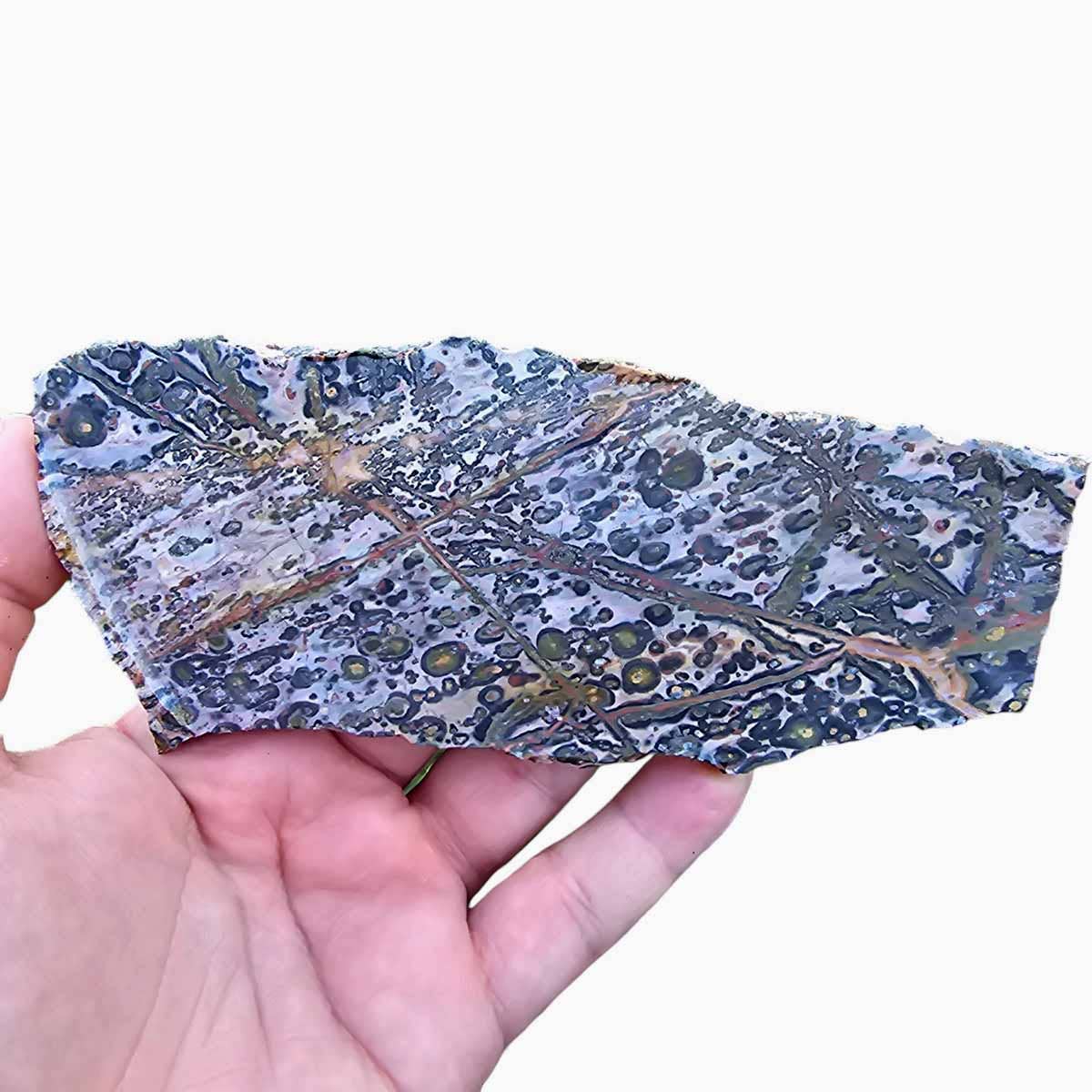 Lapidary Central – wholesale Spiritual stone/crystal – Leopard Skin Rhyolite Slab  Lapidary Stone Slab3