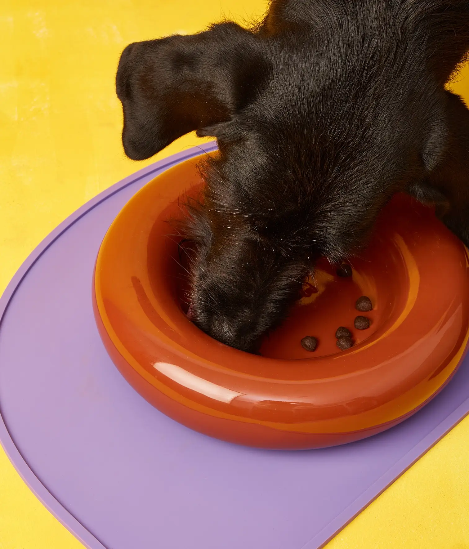 HotDog Pets - Wholesale Pet Bowl - Cat/Dog - White ceramic dog feeder17