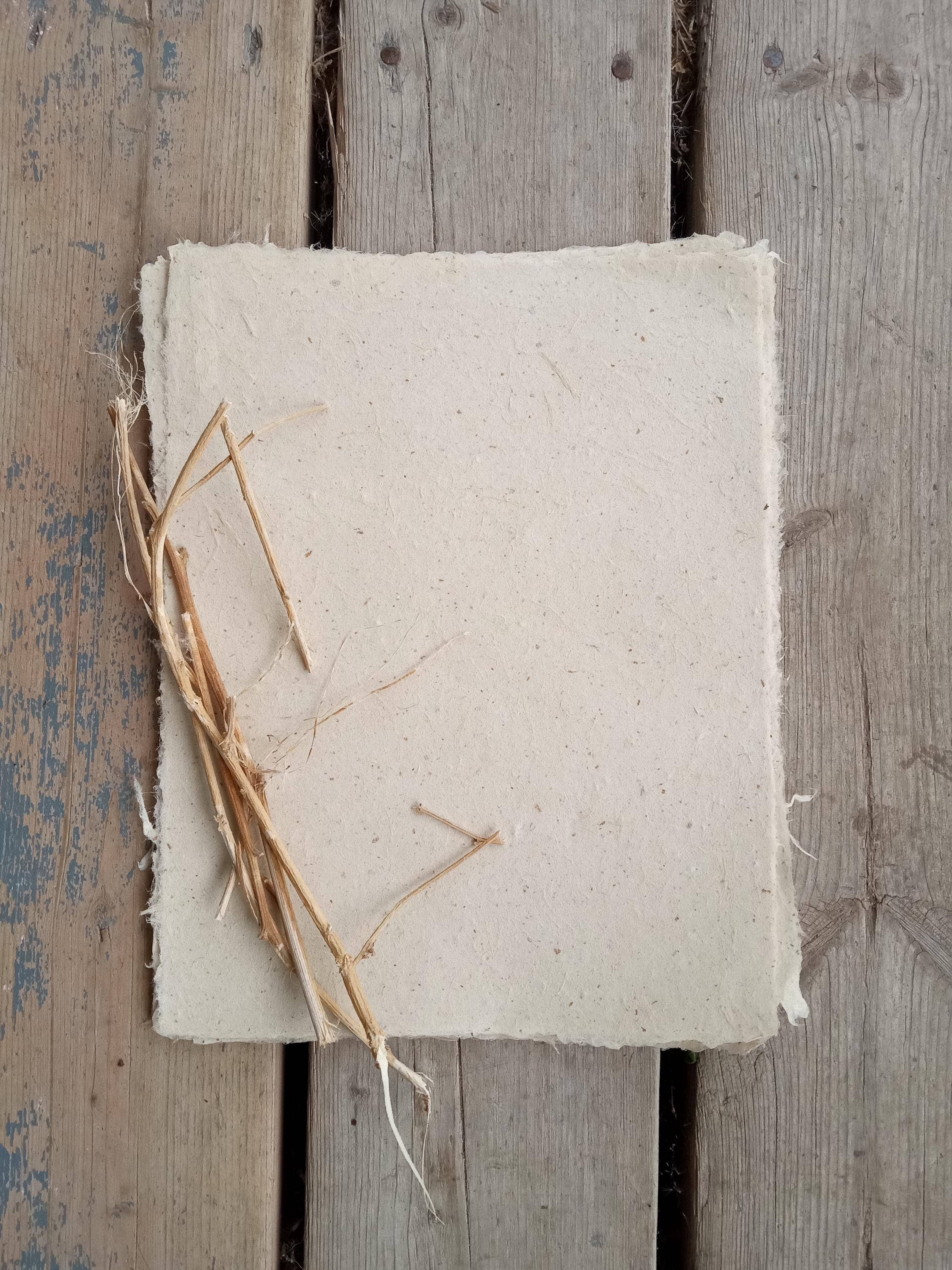 Joanne Rich - Wholesale Craft Supplies - Handmade Hemp Fiber Paper0