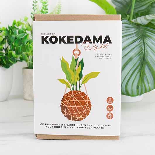 Gift Republic - Wholesale DIY Craft Kit - The Art of Kokedama - DIY Kit1