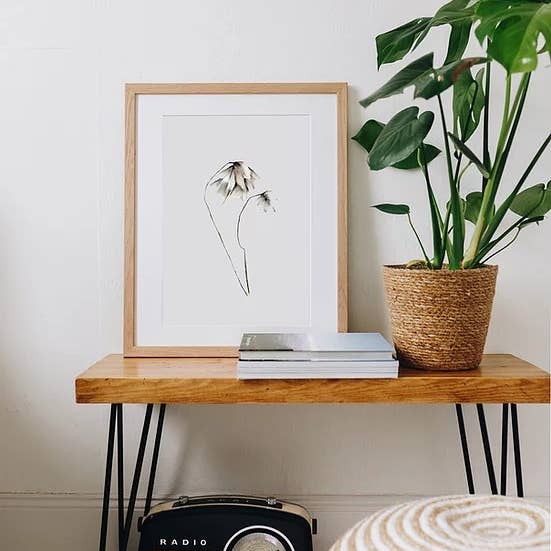 Imprimé Bog Cotton peint à la main pour la vente par Dollybirds Art