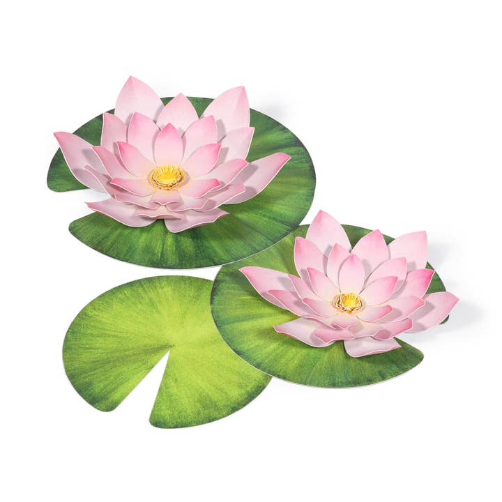 Lotus Mini Garden Craft Kit for wholesale by pukaca