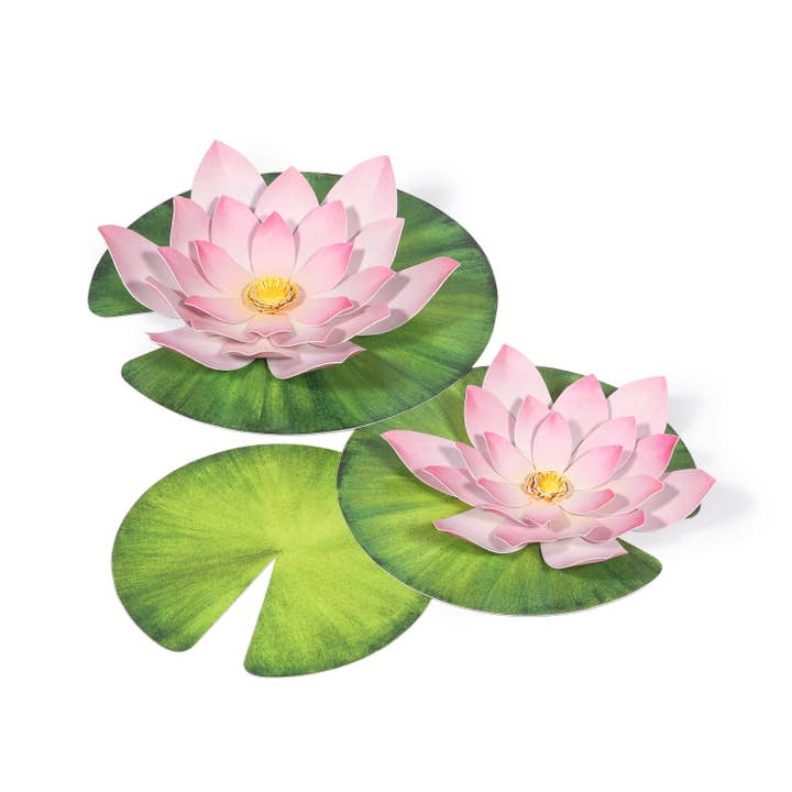 Kit creativo per mini giardino di loto per la vendita all'ingrosso da parte di pukaca