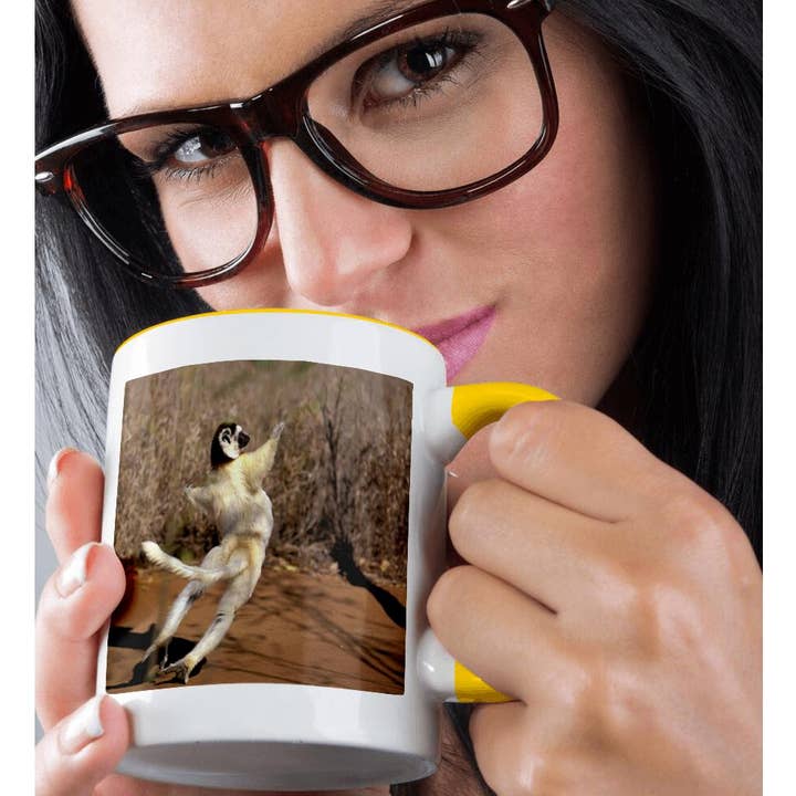 3dRose - Wholesale Coffee Mug - 3dRose, Africa, Madagascar, Berenty. Verreauxs sifaka primate-AF24 POX0075 - Pete Oxford, Mug1