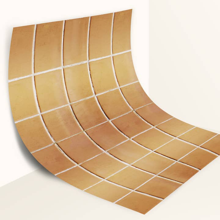 Toile de fond pour photographie Burnt Orange pour la vente par Everyday Co.