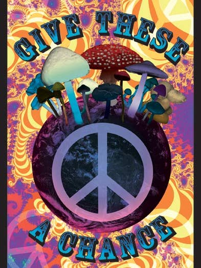 Mushroom Planet Backlight Poster for wholesale by Pyramid America