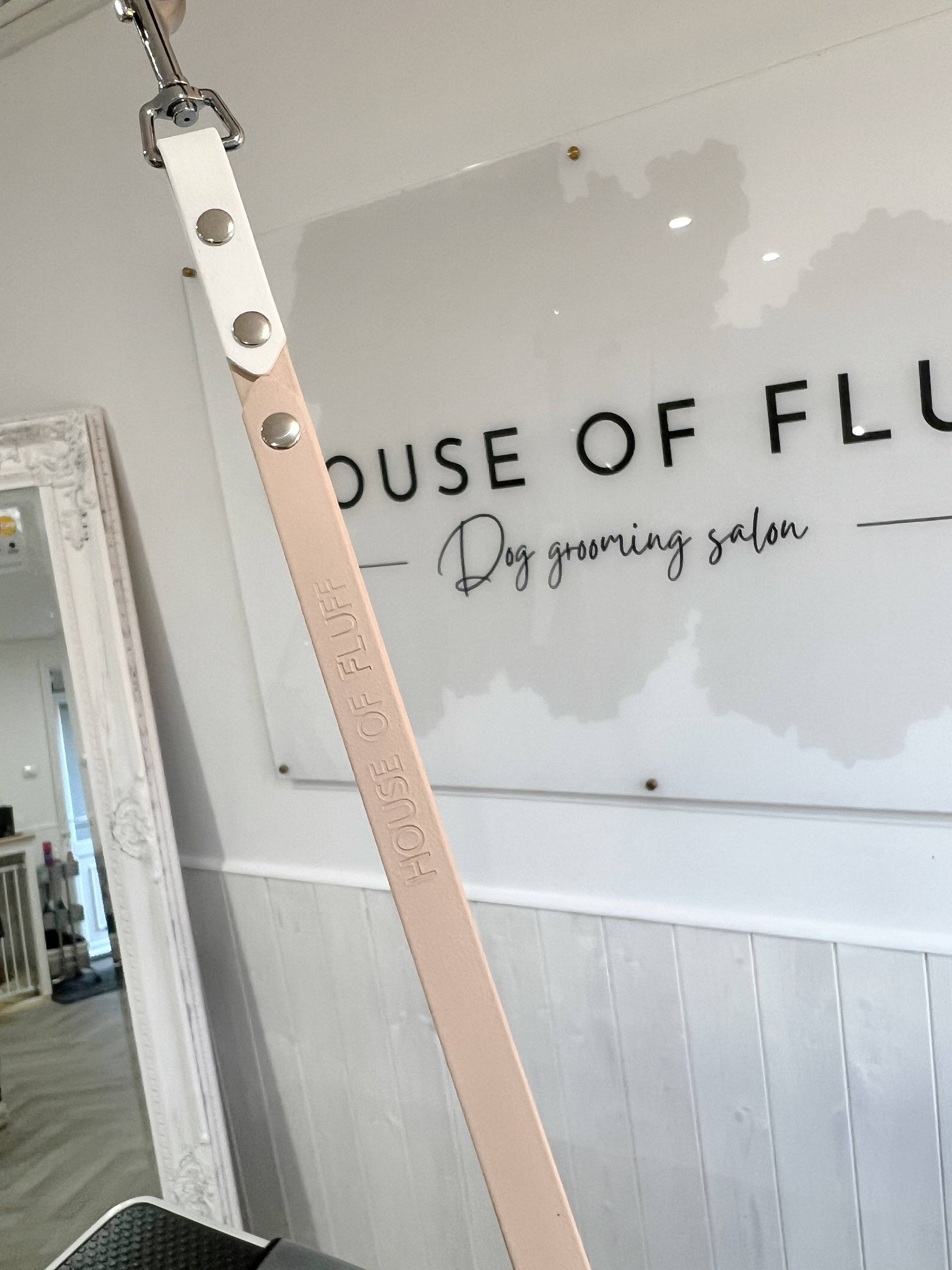 My Pawchella - Wholesale Hondenriem - Hond - My Pawchella groomingriem met D-ring van 142 cm1