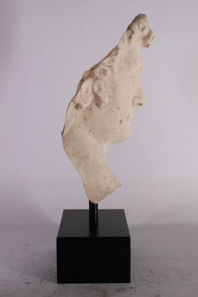 LM Treasures - Wholesale Sculpture - Stone David Head Life Size Statue4