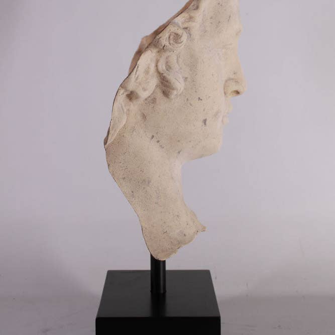 LM Treasures - Wholesale Sculpture - Stone David Head Life Size Statue4