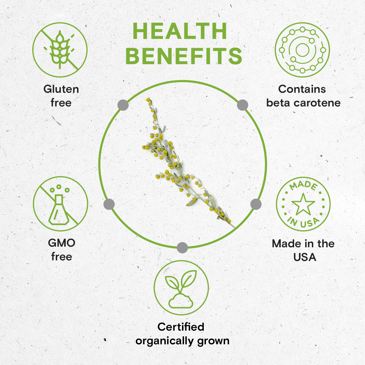 Secrets Of The Tribe – Tintura por atacado – tintura de absinto4