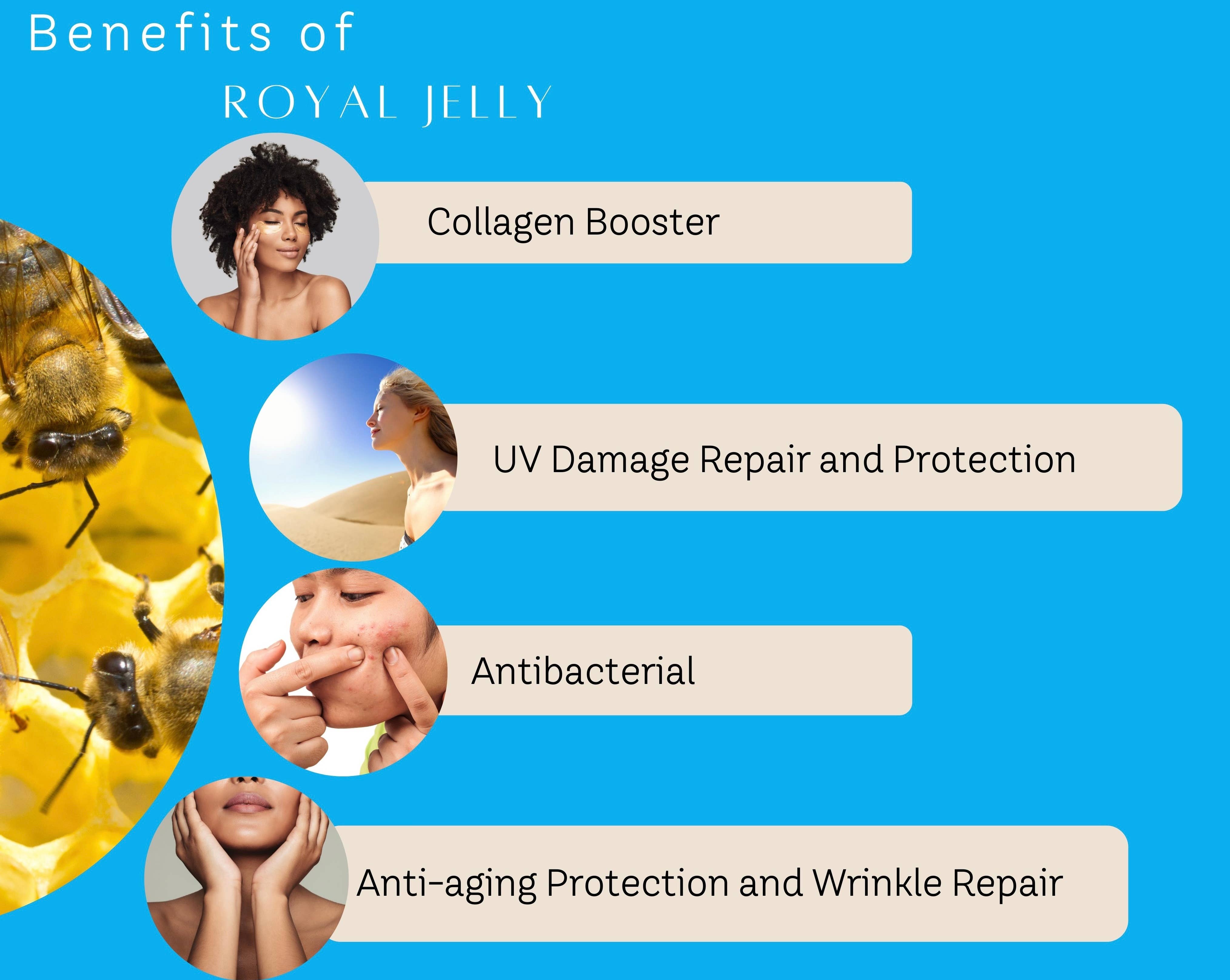 Alpha Honey Health, LLC - Wholesale Facial Moisturizer - Manuka Honey & Royal Jelly Face Cream Serum Moisturizer2