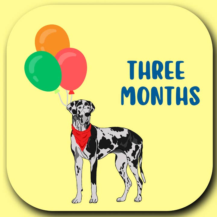 Wild & Wright - Wholesale Milestone Art/Keepsake - Kids & Baby - Welcome to the Pack Milestone Card Set11