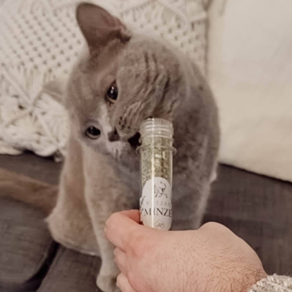 ne&no – wholesale Leksak - Katt – ne&no® Naturlig kattmynta - Set med 3 i elegant presentförpackning11