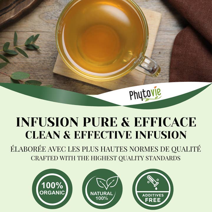 Phytovie - Wholesale Health/Detox Tea - Eucalyptus Bio | Expectorant | 25 Sachets2