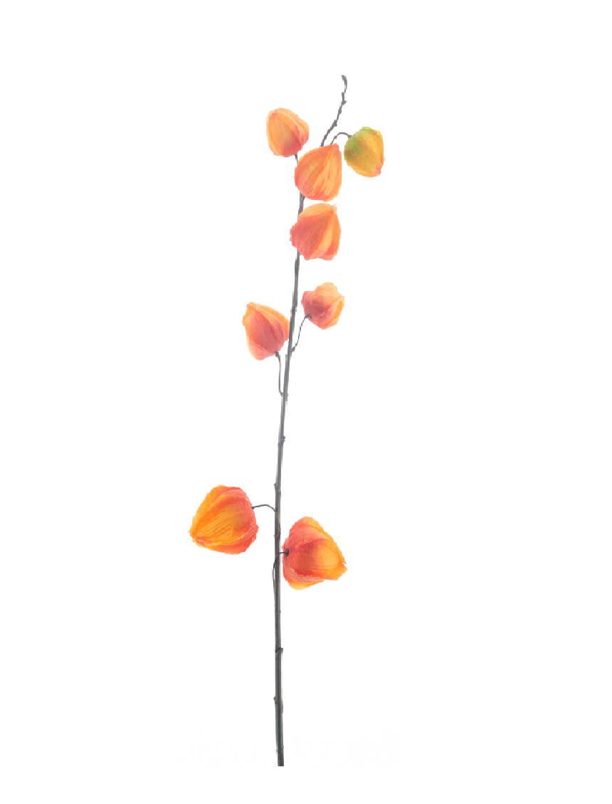 DRYdecorations - Wholesale Artificial Flowers - Physalis spray Harz orange