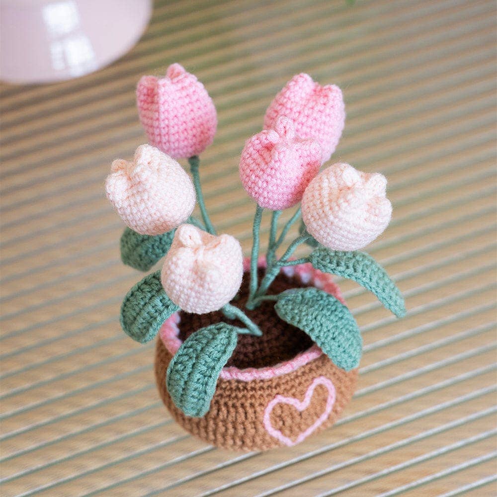 Craft Club - Wholesale DIY Craft Kit - Tulip Pot - Crochet Pot Plant Kit10