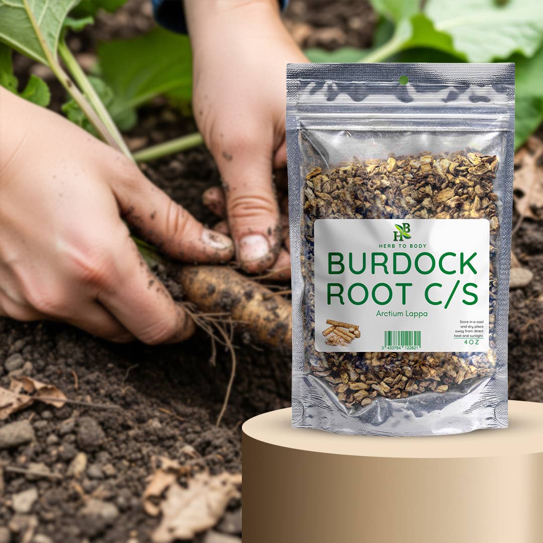 Herb To Body - Wholesale Herbs - Burdock Root C/S 4oz9