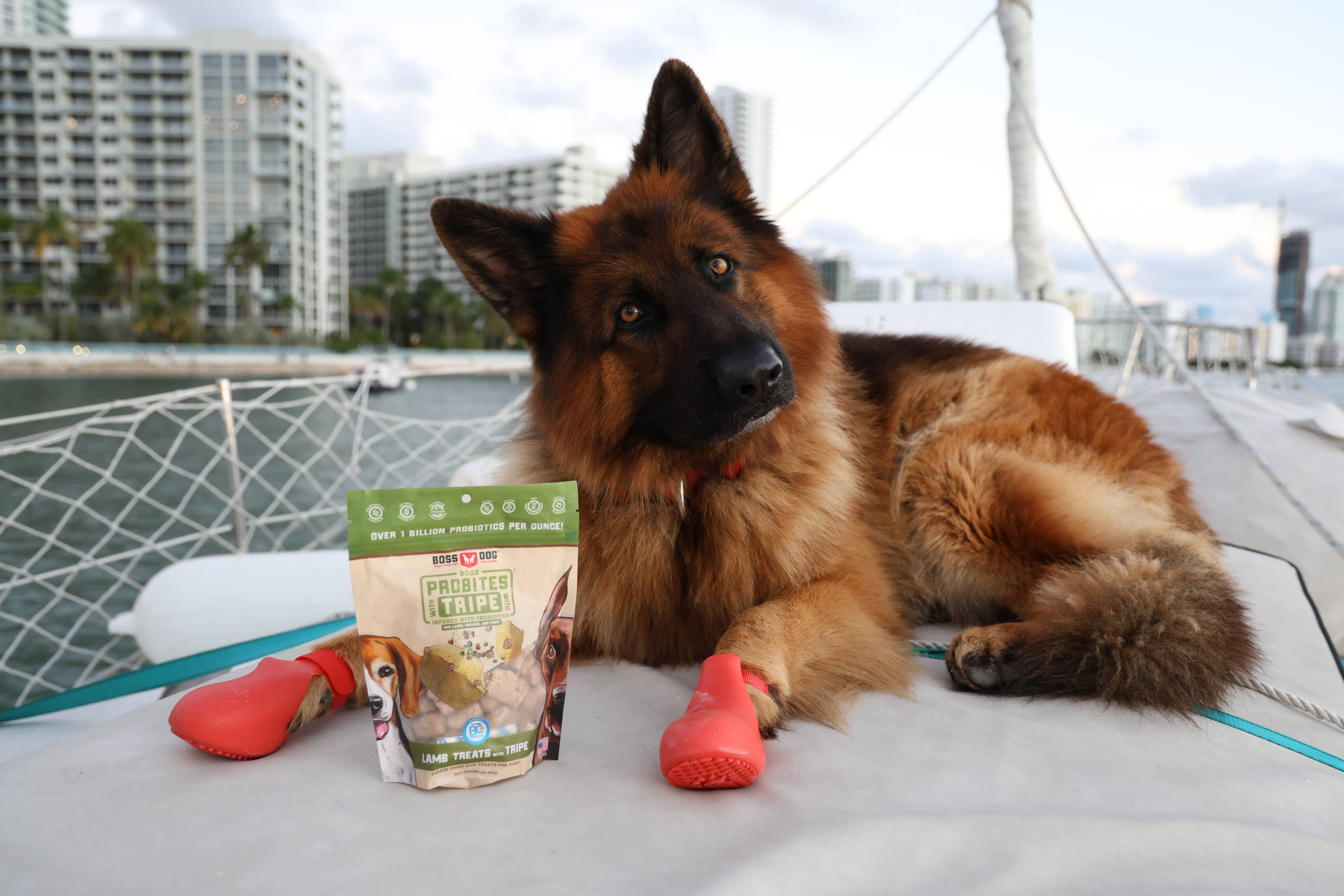 BOSS DOG BRAND, INC. - Wholesale Pet Treats - Dog - Boss Dog & Boss Cat Probites W/ Tripe- Lamb (3oz)3