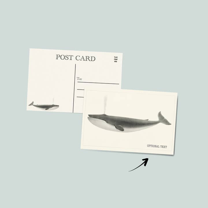 Carte postale de baleine | carte postale de l'océan pour la vente par Simply Northern