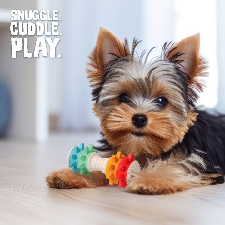 SnugArooz - Wholesale Pet Chew Toy - Dog - Shake It Off Nylon Noisy Bone Dog Toy
