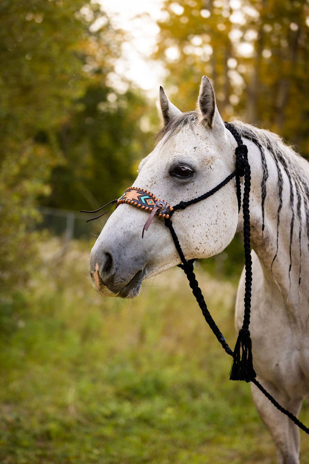 Schulz Equine – wholesale Ridutrustning – Flätat repgrimma i mule tape-stil med grimskaft24