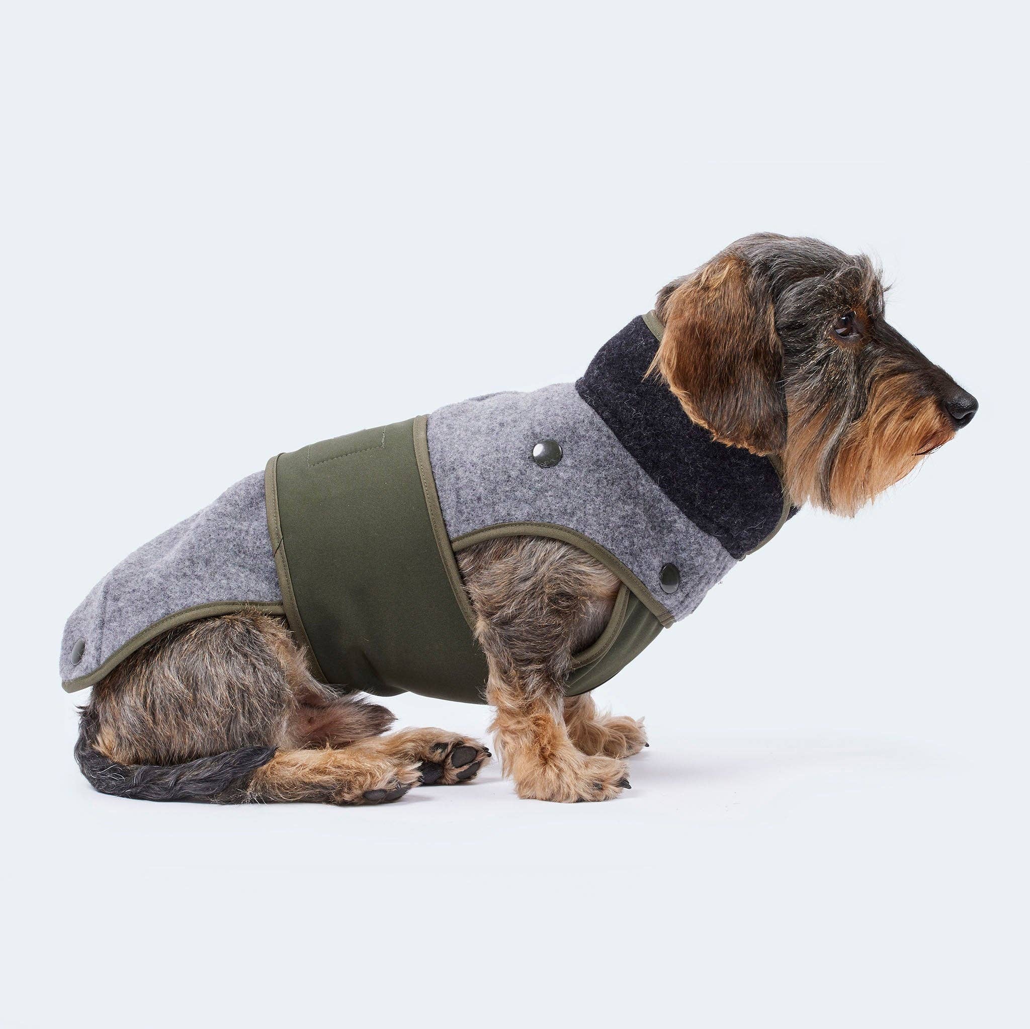 ​​Leopold's Finest for dogs - Wholesale Pet Coat - Dog - Loden coat with removable fleece for dachshunds and small dogs2