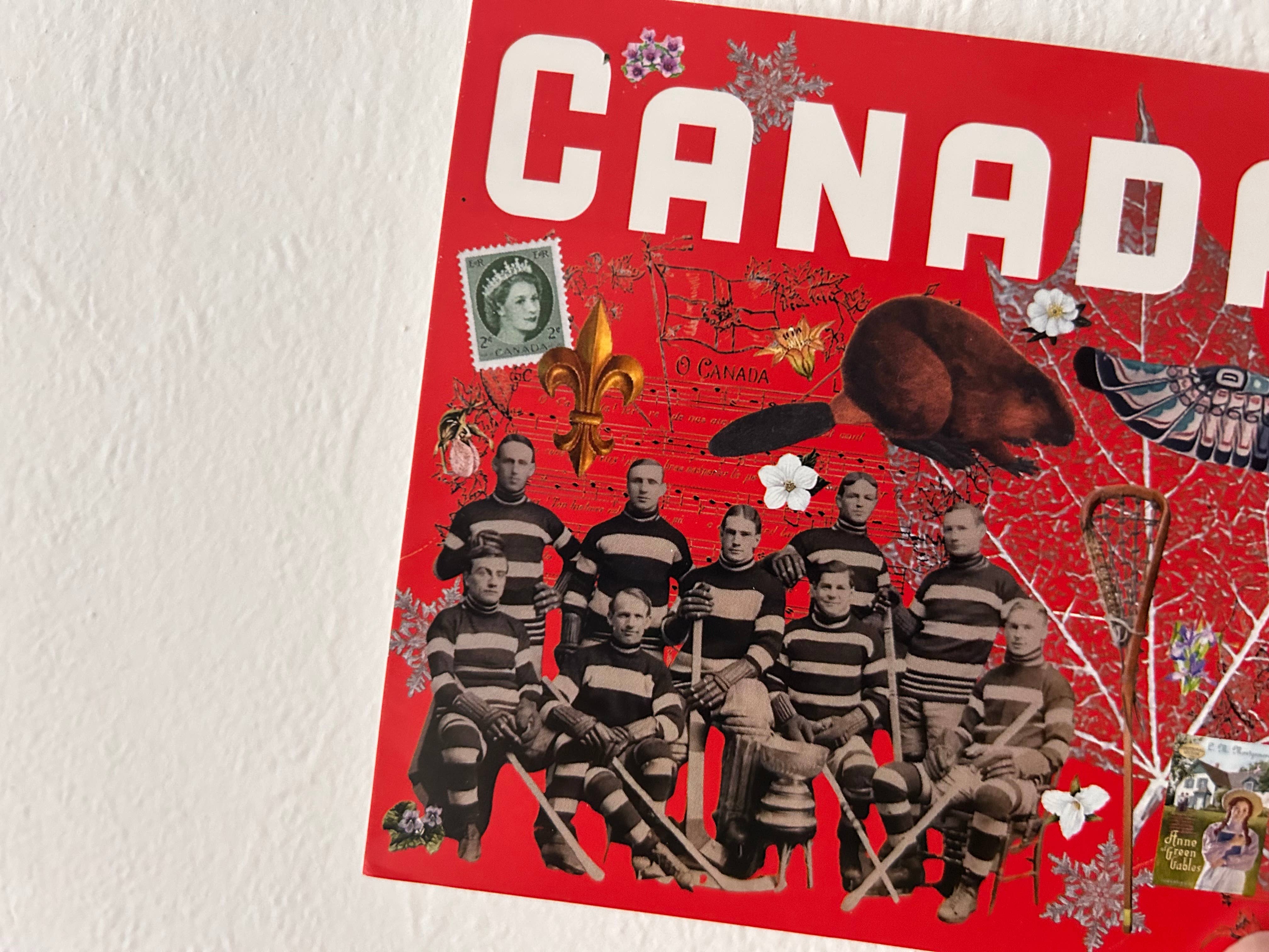 Pleasant Papercraft - Wholesale Postcard - True North Strong and Free Postcard4