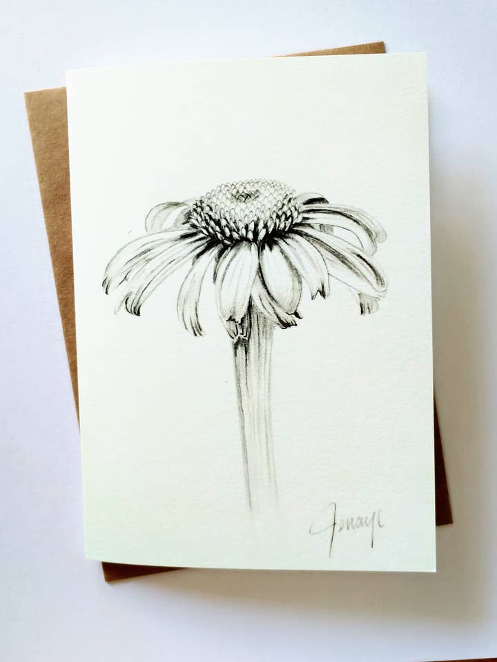 Carte de vœux en forme de fleur d'échinacée | Carte pliée 5 x 7 pour la vente par Foxwise
