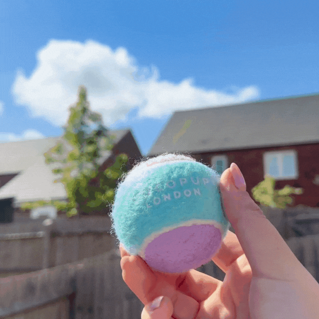 Cocopup London – Bola para cão - Cão por atacado – Bola de Tênis para Cachorros - Sabor Chiclete1