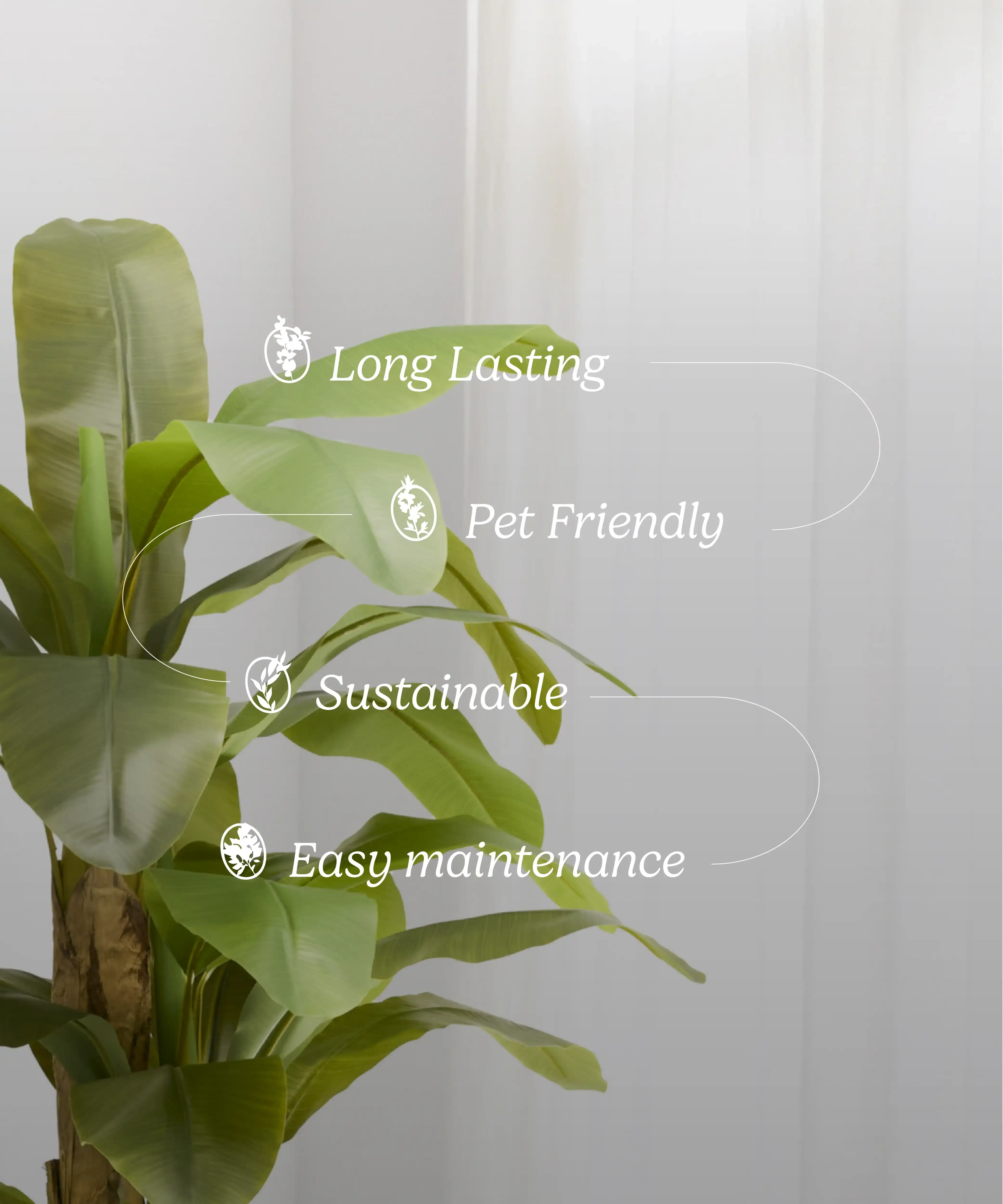 Maia Shop - Wholesale Artificial Plant - Artificial Banana Plant 210 cm4