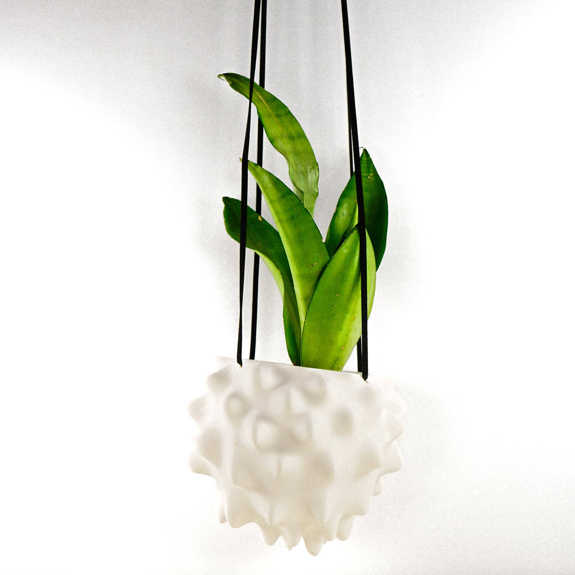 Rosebud Homegoods - Wholesale Hanging Planter - Hanging Planter, Indoor 5 or 8 inch Pots, Maximalist Decor13