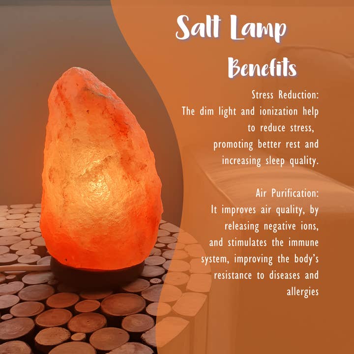 Vives de la Cortada S.L - Wholesale Salt Lamp - Salt Lamp (2-4kg)5