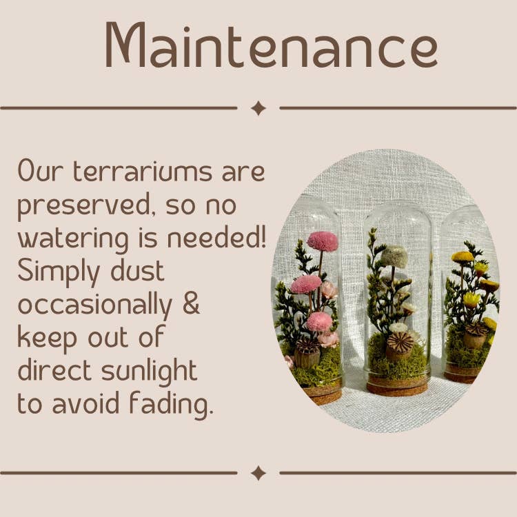 CA Studios - Wholesale Terrarium - Flower Forest Mix Mini Cloche Terrarium w. Dried Florals6