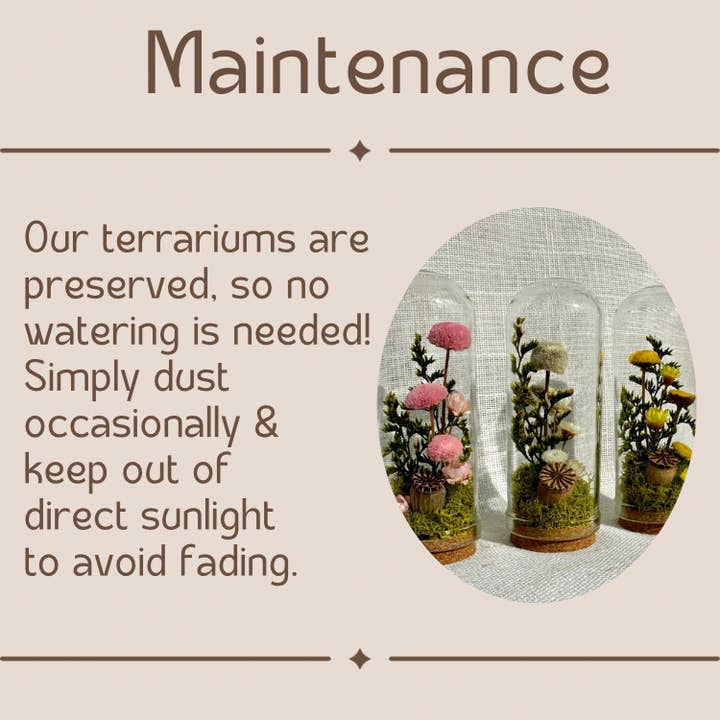 CA Studios - Wholesale Terrarium - Flower Forest Mix Mini Cloche Terrarium w. Dried Florals6