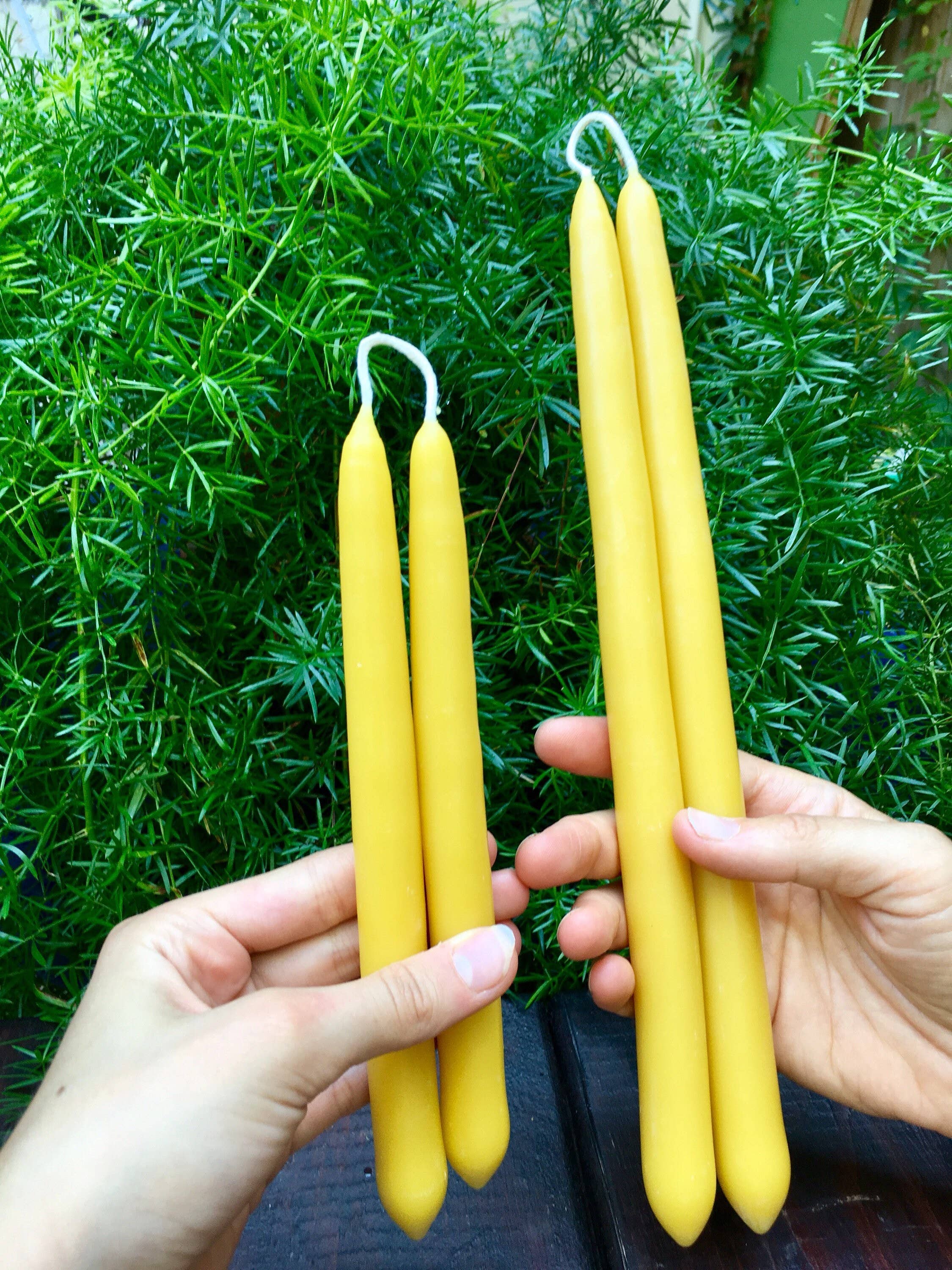 Mile-End Soap & Candle Supply - Vente Bougies/bougeoirs coniques - Paire de bougies coniques en cire d'abeille - 12 pouces ou 9 pouces1