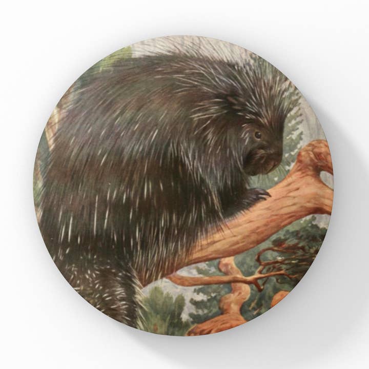 NatureCuts – Alfinete/botão de lapela por atacado – Botão de alfinete de porco-espinho, chaveiro porco-espinho, ímã porco-espinho3