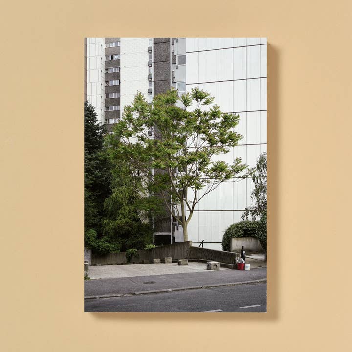 Ailanthus altissima för wholesale av ÉDITIONS B42