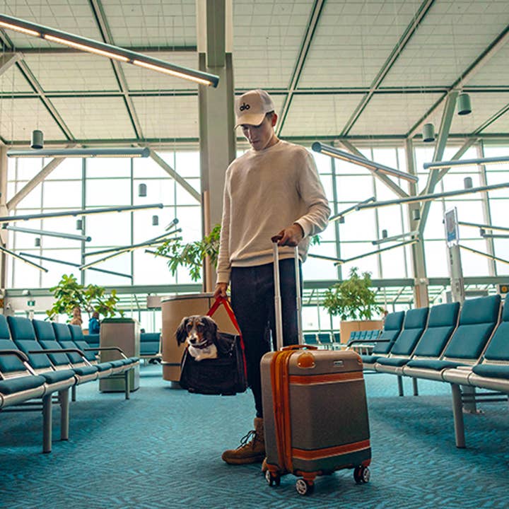 Ibiyaya - Wholesale Pet Carrier - Cat/Dog - JetPaw: 3-in-One Pet Stroller with Airline-Approved Carrier9