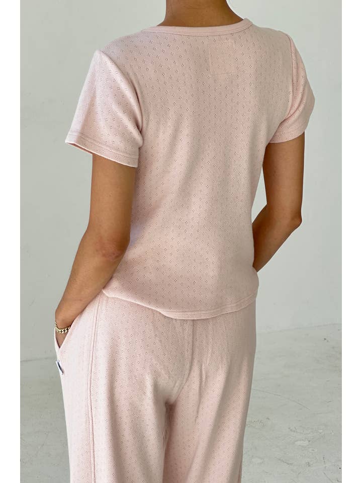 Le Bon Shoppe - Wholesale Knit Top - Women's - Pointelle Babe Tee (2S-2M-1L)40