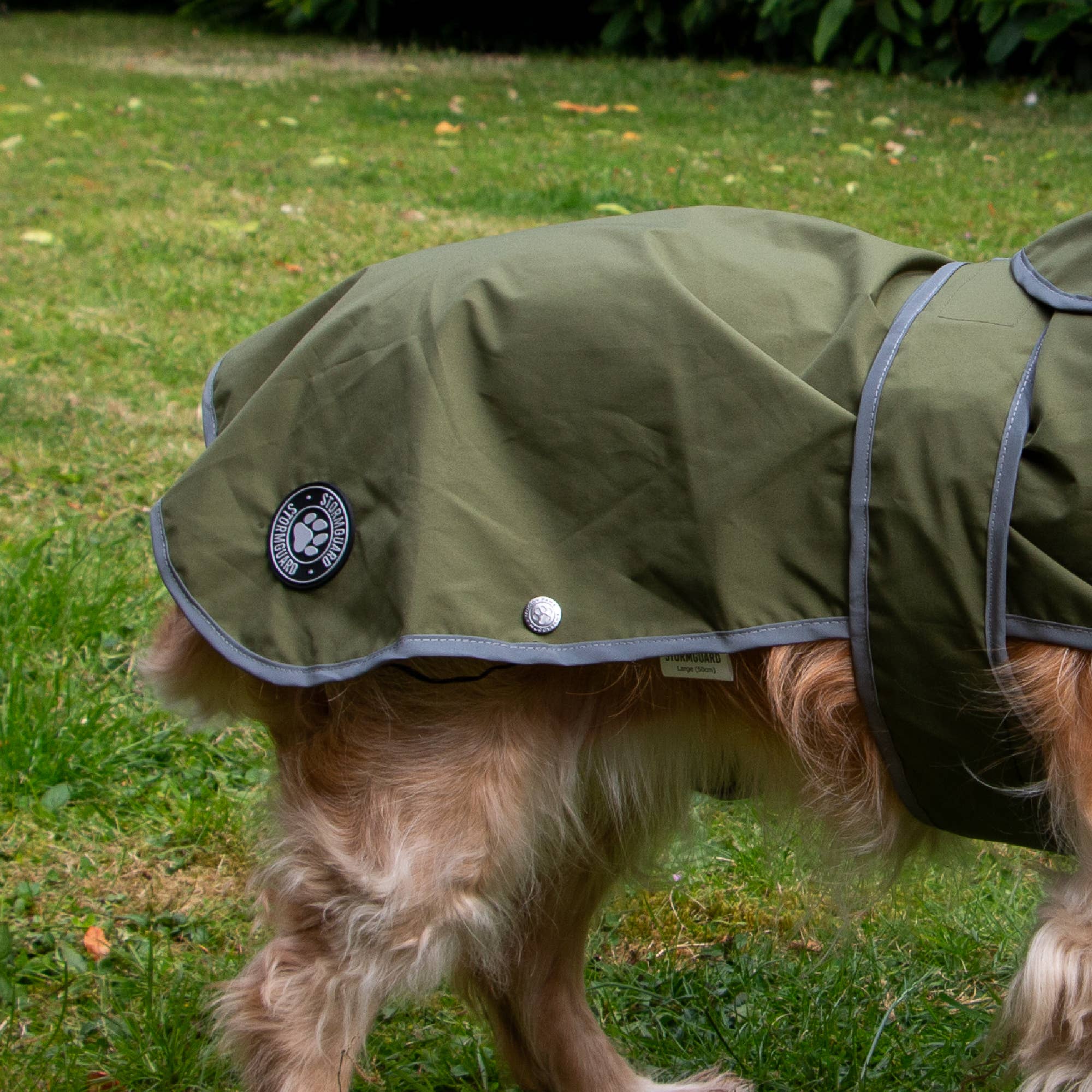 Ancol Pet Products Ltd – wholesale Pet coat – Dog – Stormguard Soft Shell  Dog Coat Khaki XS-XXL 2