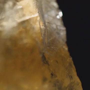 Karma And Luck – wholesale Decorative tabletop object – SPIRITUAL AWAKENING - BLACK ONYX FENG SHUI TREE7