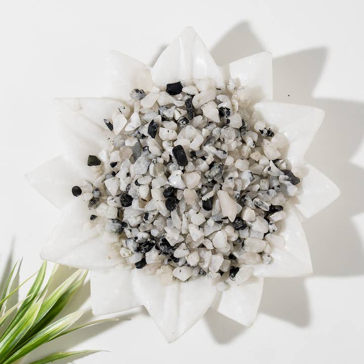 Soothing Crystals - Vendita all'ingrosso Pietra/cristallo spirituale - 100g Frammenti di Pietre Curative | Pietra di Luna Arcobaleno | Frammenti Grezzi1