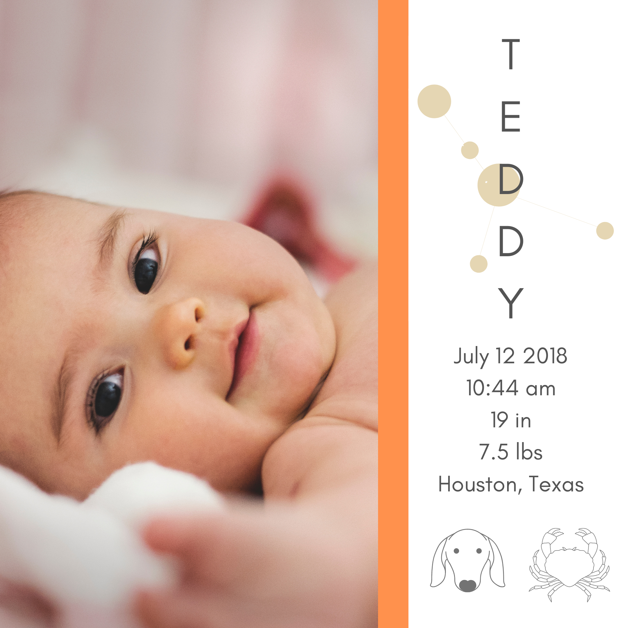 Pura Vida – Großhandel Fotoalben – Benutzerdefiniertes 10 x 10-Zoll-Fotobuch | Gebundene Ausgabe | Softcover17