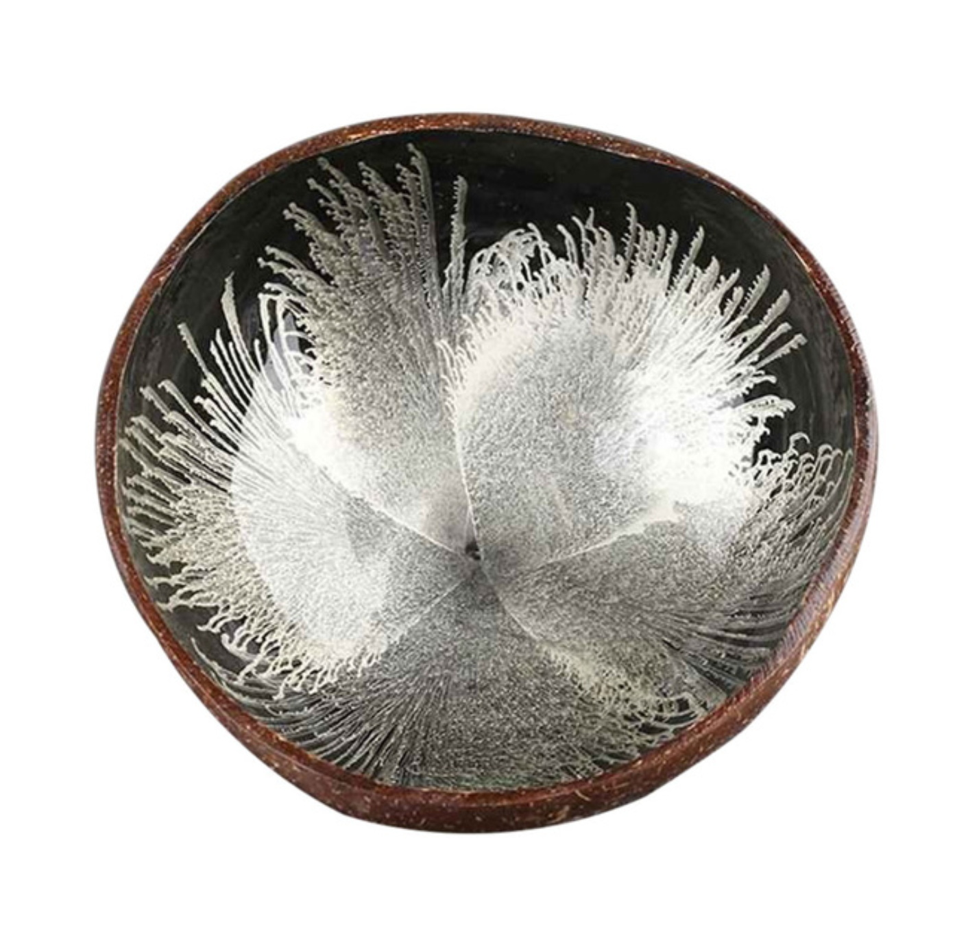 Homerely (We Cover All Import Duties) - Vente Assiettes/plats/bols de décoration - Bol décoratif vintage en coque de noix de coco naturelle5