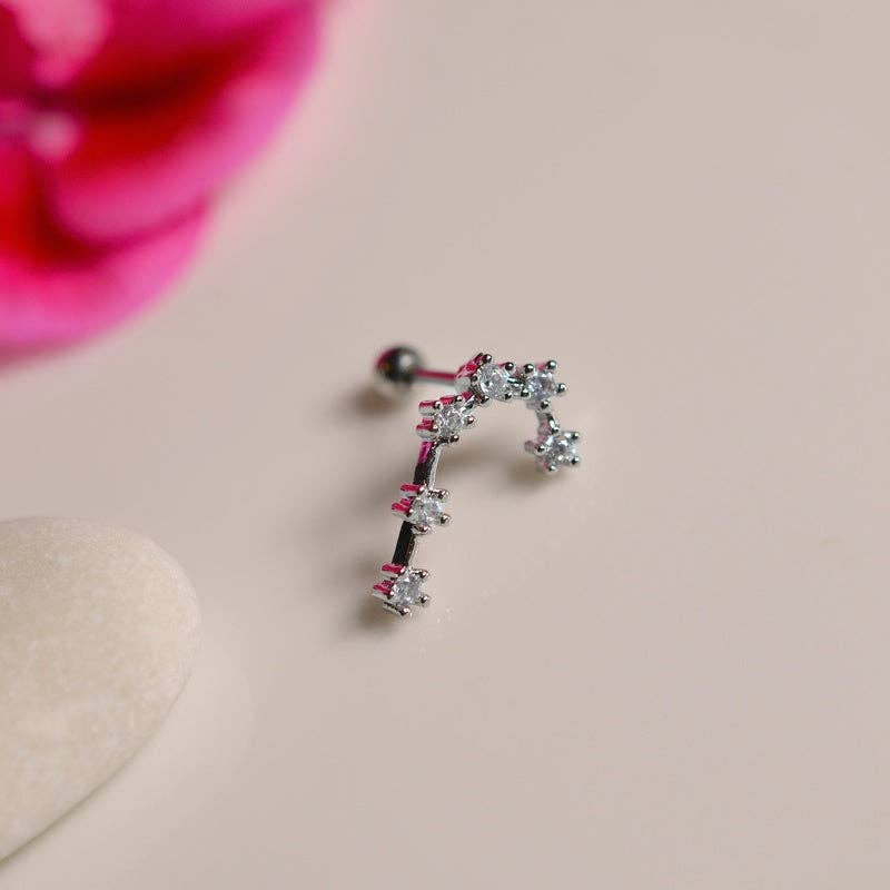 StockJWL - Wholesale Stud/Post Earrings - 12 Zodiac Earrings, Constellation Stud Earring Stud Piercing Tragus Helix Lobe and Cartilage Silver And Gold25